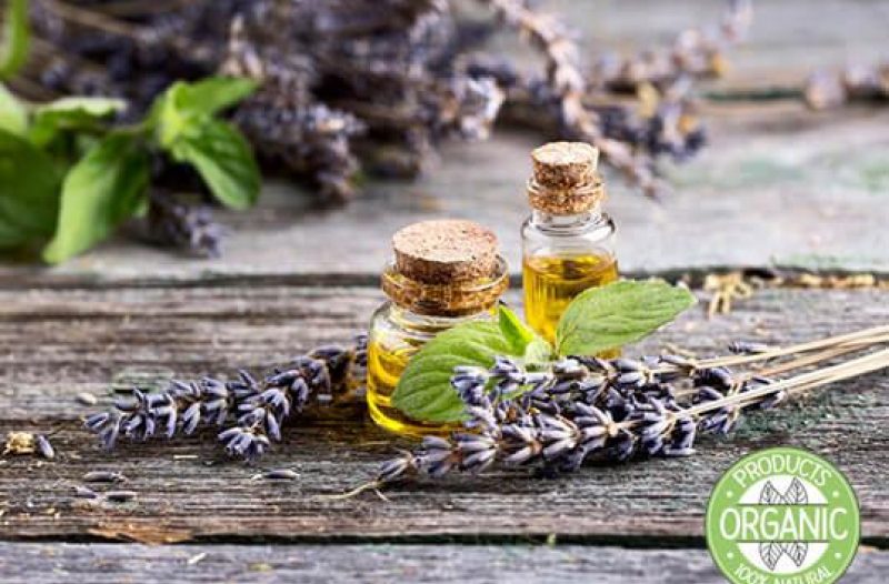 Novi Vinodolski - novi-vinodolski.info - Florihana - Organska eterična ulja i hidrolati - BIO TERRA